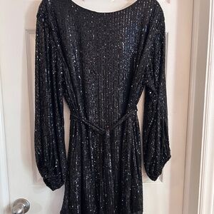 Vine & Love Sequin Mini Dress, Large